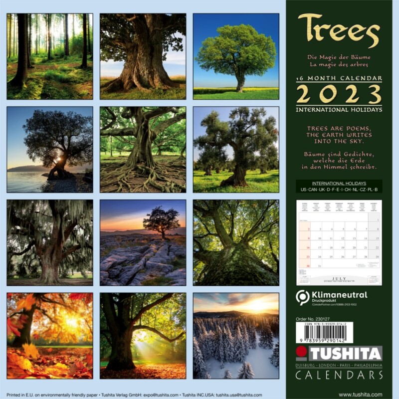 Trees Calendarios De Pared Cons Guelos En Posters Es