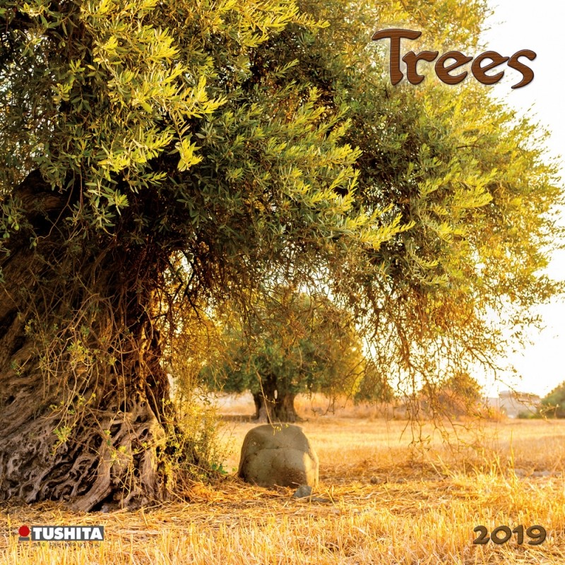 Trees Calendarios De Pared Cons Guelos En Posters Es