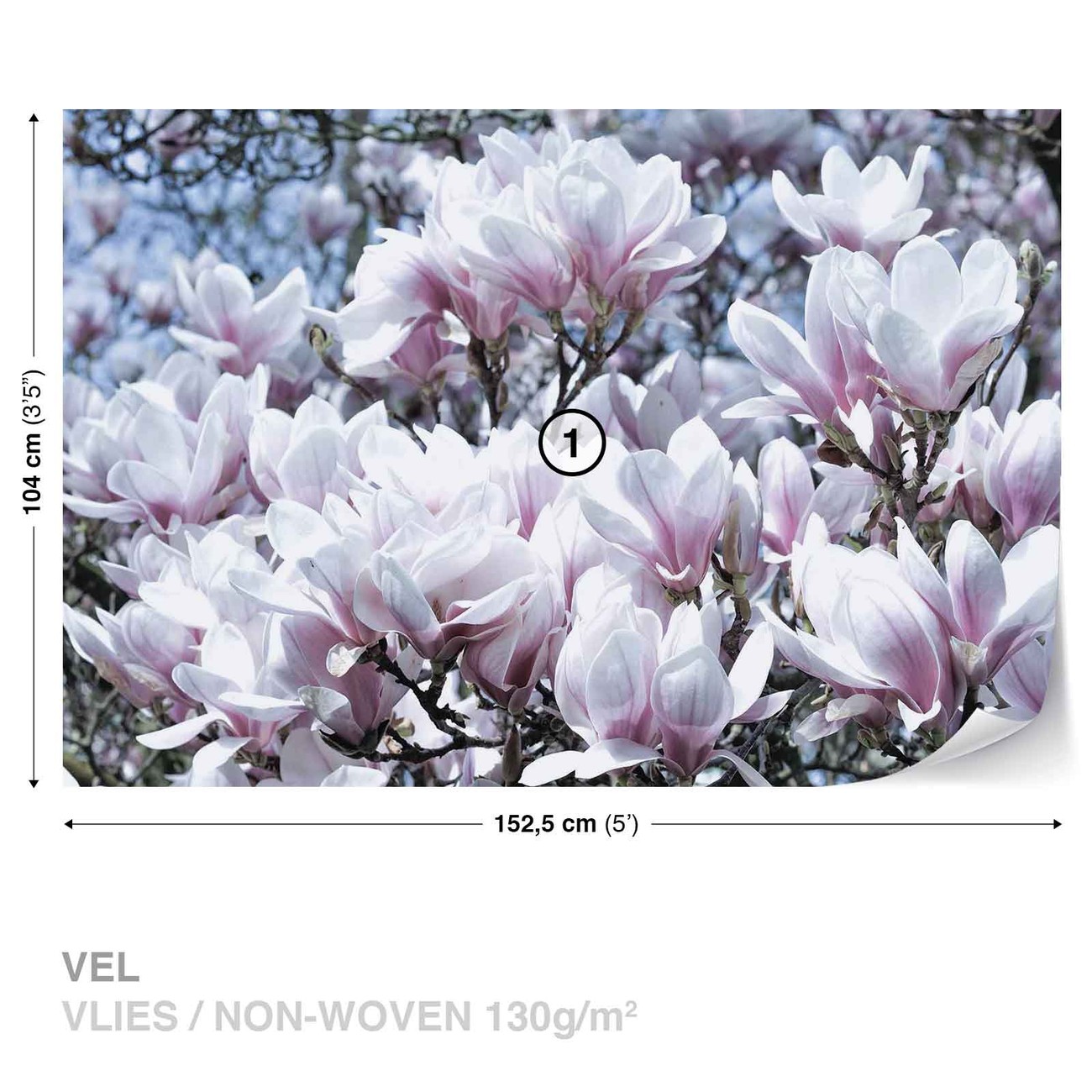 Fototapete Tapete Blumen Magnolien Bei Europosters Kostenloser Versand