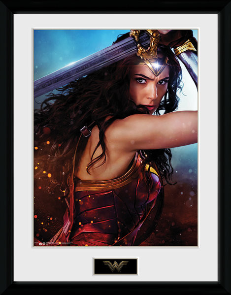 Wonder Woman Defend Poster Incorniciato Quadro Su Europosters It