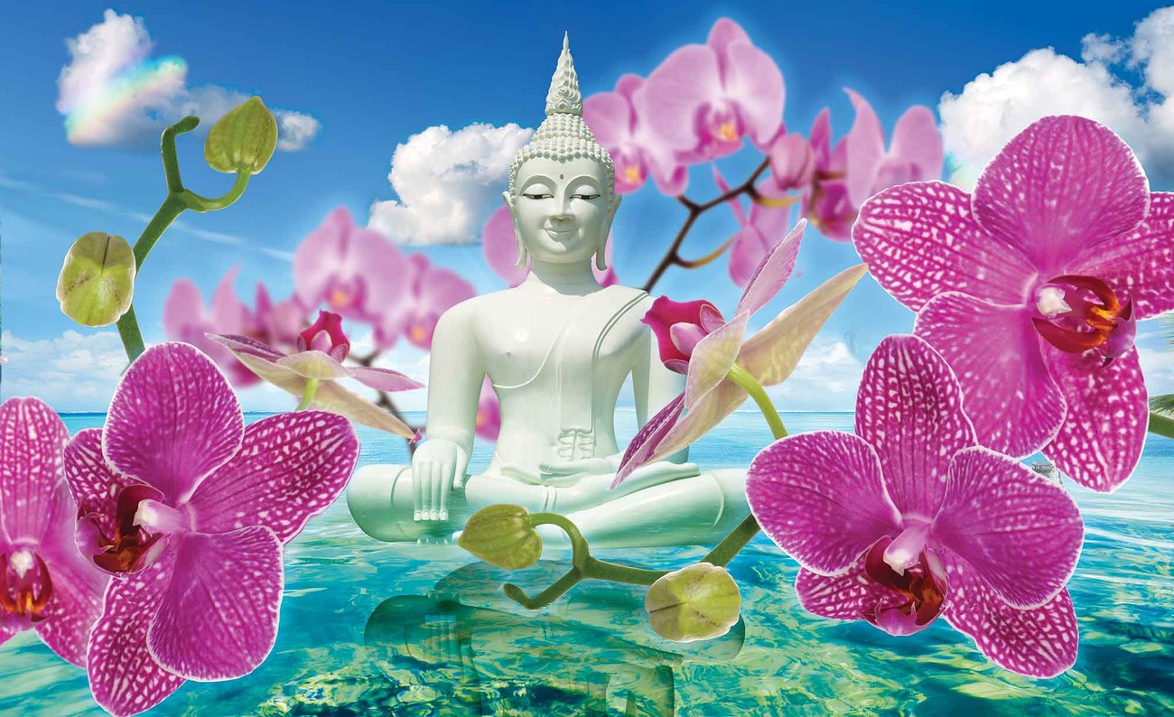 Fleurs Zen Orchid Es Bouddha Eau Ciel Poster Mural Papier Peint