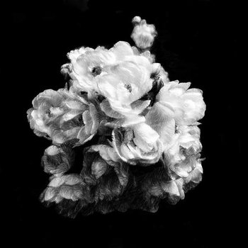 Reproducción de arte Summer English Roses, 2019,