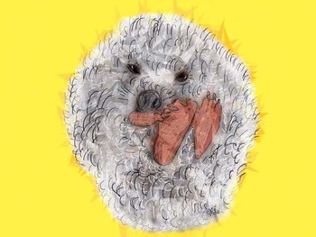 Reproducción de arte Wicked Spiky Hedgehog, 2019,