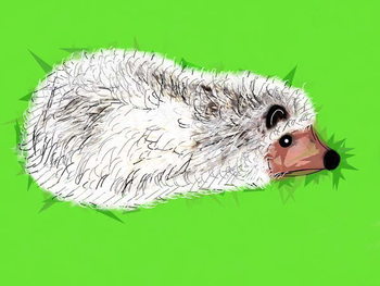 Reproducción de arte Wicked Spiky Hedgehog, 2019,