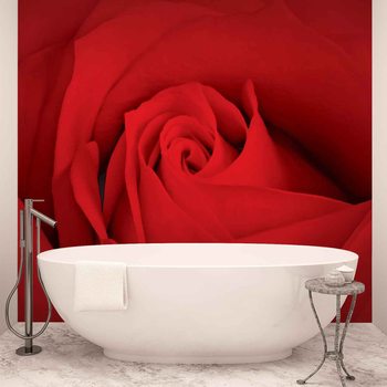Carta da parati Fiore Rosa