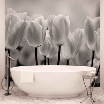 Carta da parati Fiori Tulipani