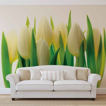 Carta da parati Fiori Tulipani Natura