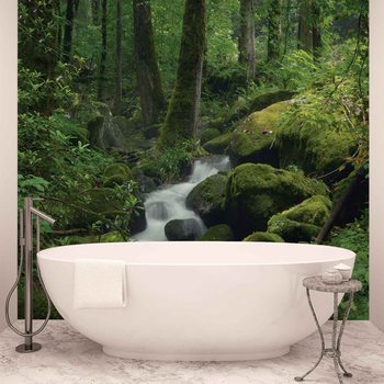 Carta da parati Foresta Cascata Rocce Natura