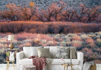 Carta da parati Nature'S Paintbrush