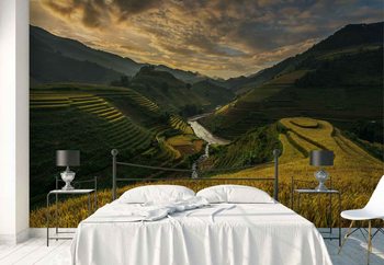 Carta da parati Rice Terrace In Vietnam