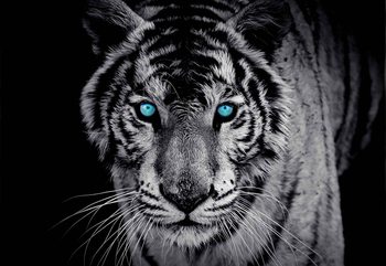 Carta da parati Tigre Animale