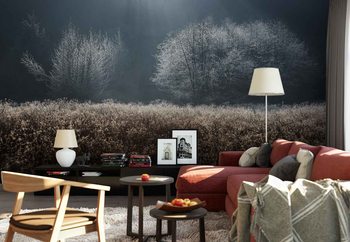 Carta da parati Winter Field