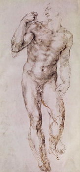 Sketch of David with his Sling, 1503-4 - Stampe d'arte