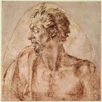 Study of Head and Shoulders - Stampe d'arte