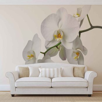Fotomurale Flores Orquideas Naturaleza Blanco