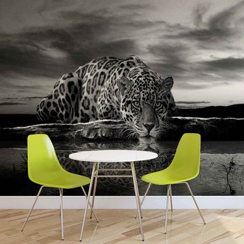Fotomural Leopard Feline Reflection Negro