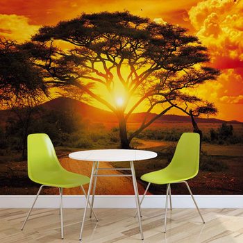 Fotomural Puesta del sol África Naturaleza árbol