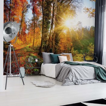 Fotomural Sunrise In Autumn Forest