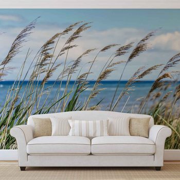 Strand See Sand Natur Fototapete