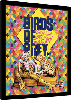 Birds Of Prey: y la fantabulosa emancipación de Harley Quinn - Harley's Hyena Poster enmarcado