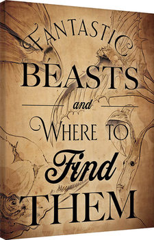 Cuadros en Lienzo Animales fantásticos y dónde encontrarlos - Beast Drawings