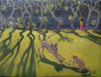 Cuadros en Lienzo Dog and Monkey, Sri Lanka,1998