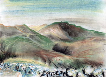 Cuadros en Lienzo Hills in the Lake District, 2005,