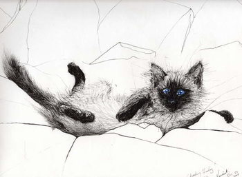 Cuadros en Lienzo Play baby, 2006,