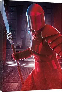 Cuadros en Lienzo Star Wars: Episodio VIII - Los últimos Jedi - Elite Guard Blade