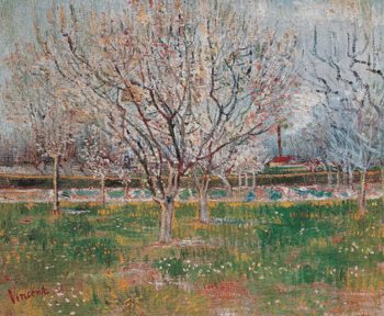 Plum Trees: Orchard in Blossom, 1888 Kunsttryk