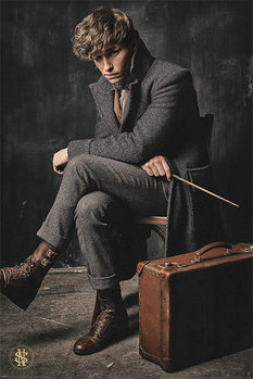 Póster Animales fantásticos: Los crímenes de Grindelwald - Newt Scamander