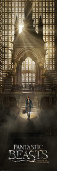 Poster Phantastische Tierwesen und wo sie zu finden sind - Teaser