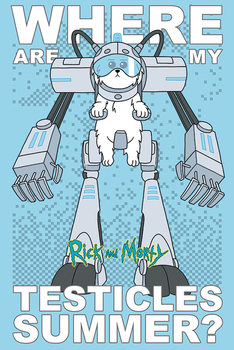 Poster Rick and Morty - Where Are My Testicles