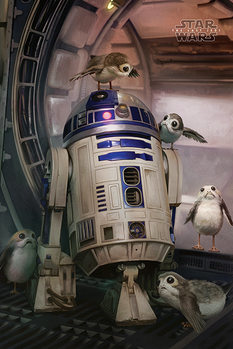 Póster Star Wars: Episodio VIII - Los últimos Jedi - R2-D2 & Porgs