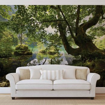 Arbre Lac Nature Poster Mural XXL