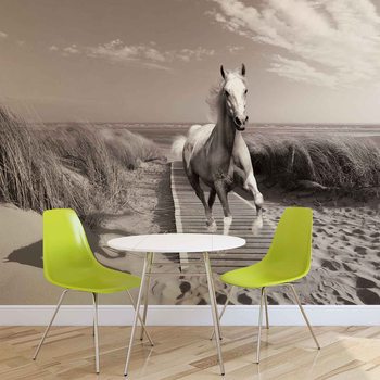 Cheval Blanc sur la Plage Gris Poster Mural XXL