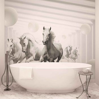 Chevaux Sphères blanches Poster Mural XXL