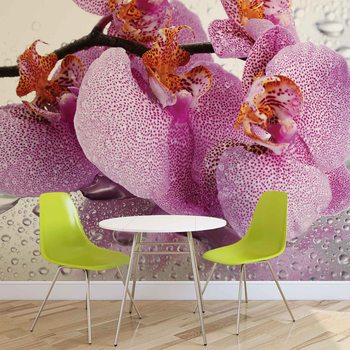 Fleurs Orchidées Gouttes Poster Mural XXL