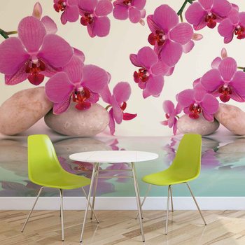 Fleurs Orchidées Poster Mural XXL