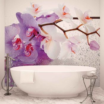 Fleurs Orchidées Nature Gouttes Poster Mural XXL