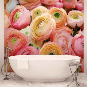 Fleurs Pivoines Couleurs Poster Mural XXL