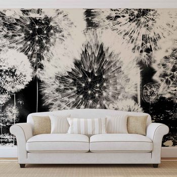 Pissenlit Noir et Blanc Poster Mural XXL