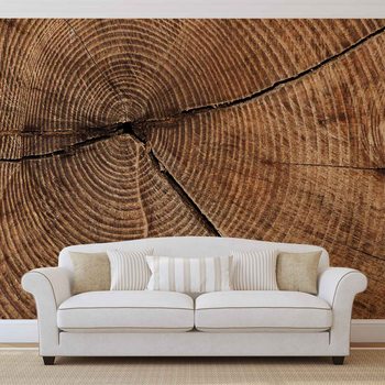 Souche d'Arbre Cercles Poster Mural XXL