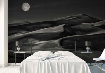 The Night Walked Down The Sky Poster Mural XXL
