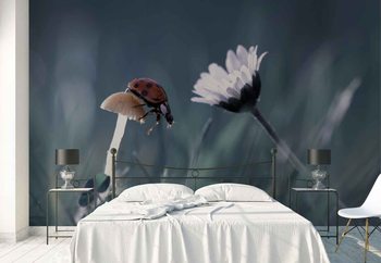 The Story Of The Lady Bug Poster Mural XXL
