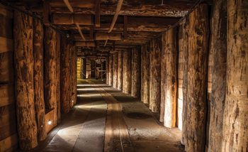 Wood Tunnel de Mine Poster Mural XXL