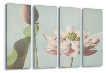 Quadri in vetro Lotus Blossom, Ogawa Kazumasa.