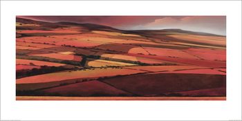 Jonathan Sanders - Afternoon Shadows - Stampe d'arte