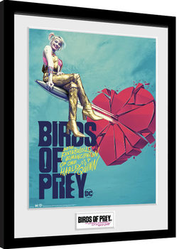 Birds Of Prey: et la fantabuleuse histoire de Harley Quinn - One Sheet Bullet Poster encadré