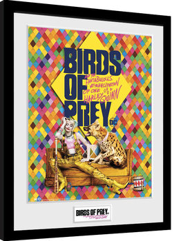 Birds Of Prey: et la fantabuleuse histoire de Harley Quinn - One Sheet Hyena Poster encadré